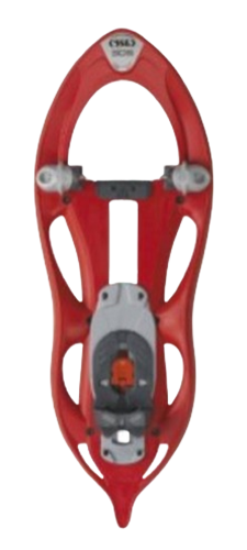 Snowshoes
